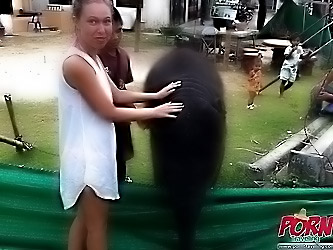 Thailand Outdoor Sex Movie